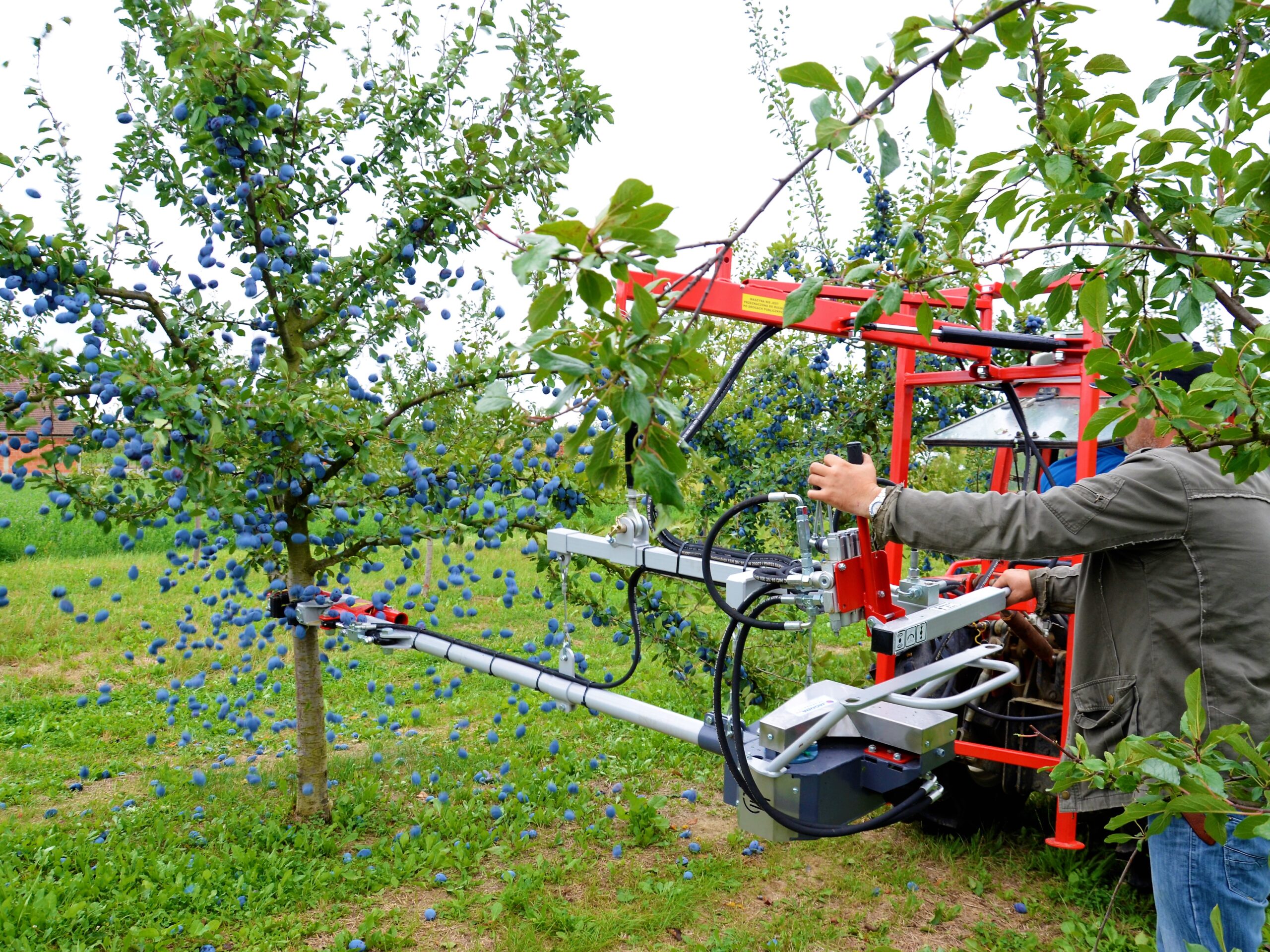 Scuturator de copaci pentru măsline, prune, mere, cireșe PESTKA