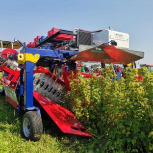 Recoltător de fructe de pădure tractat OSKAR A01